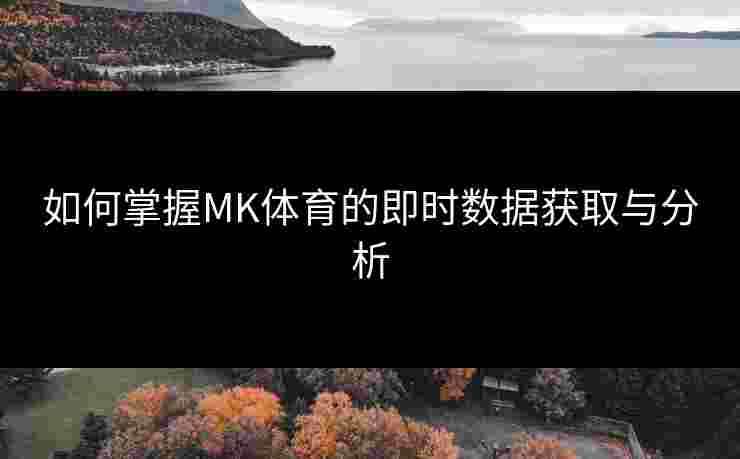 如何掌握MK体育的即时数据获取与分析